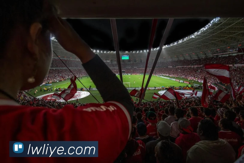 App Interface Preview